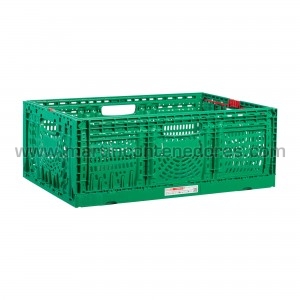 Foldable perforated box...